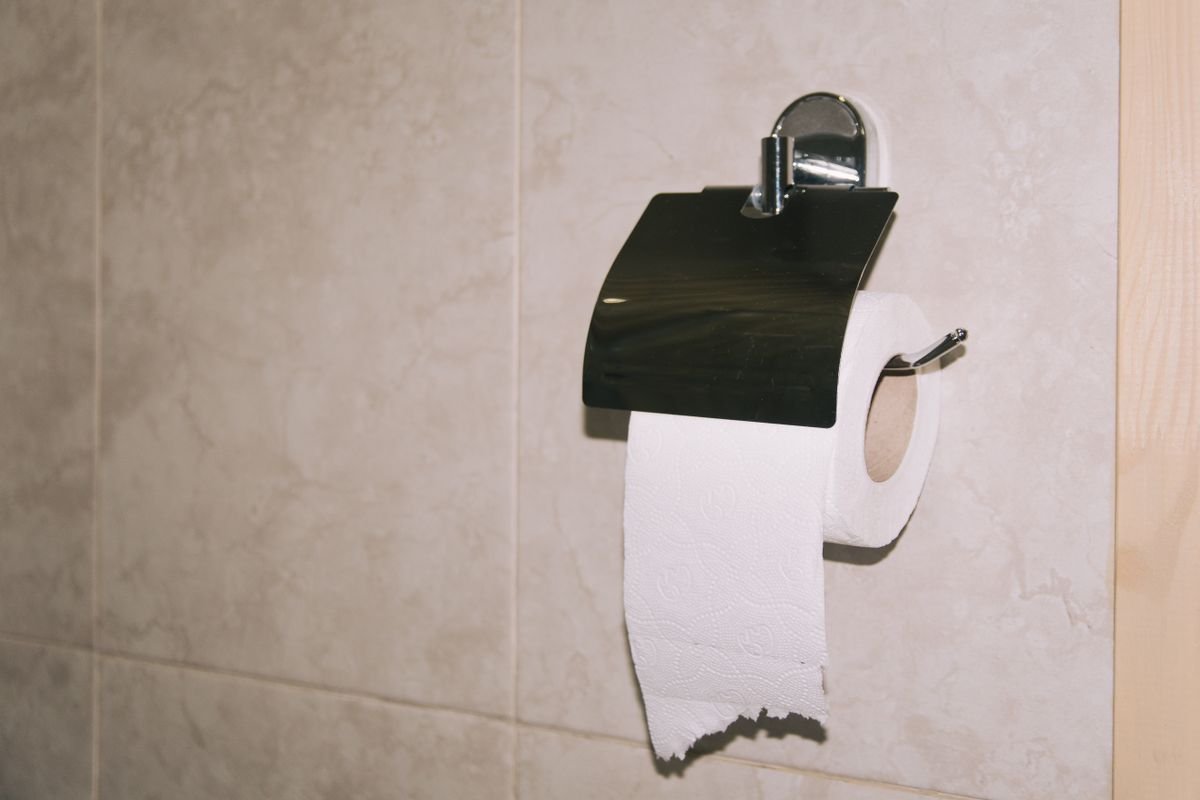 Toilet paper dispenser variant